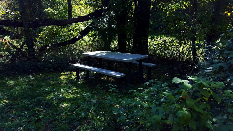Romantic Picnic Location at The Retreat