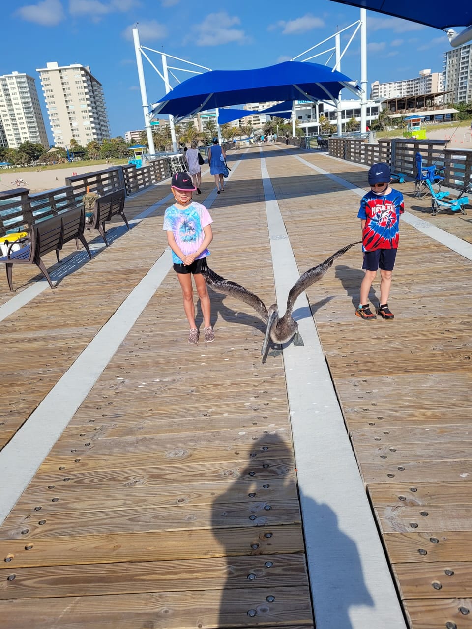 PELICAN ON THE PIER