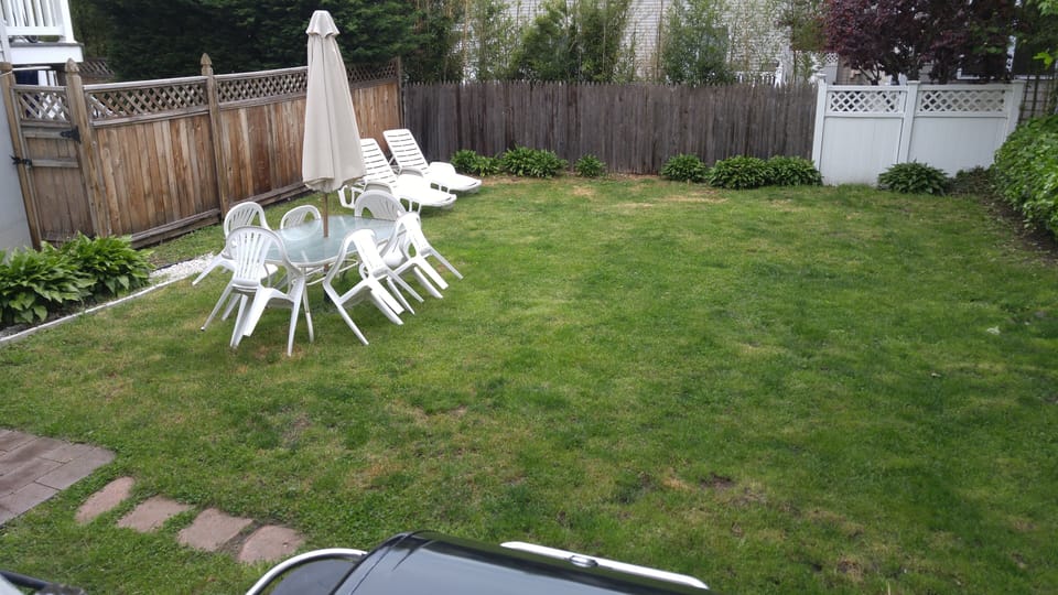 Spacious Backyard
