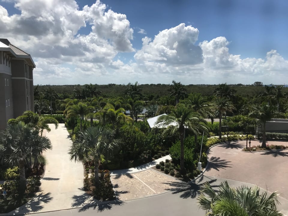 Your View!