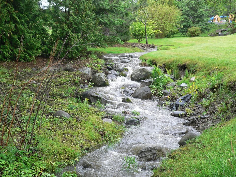 Creek flowing through the property.