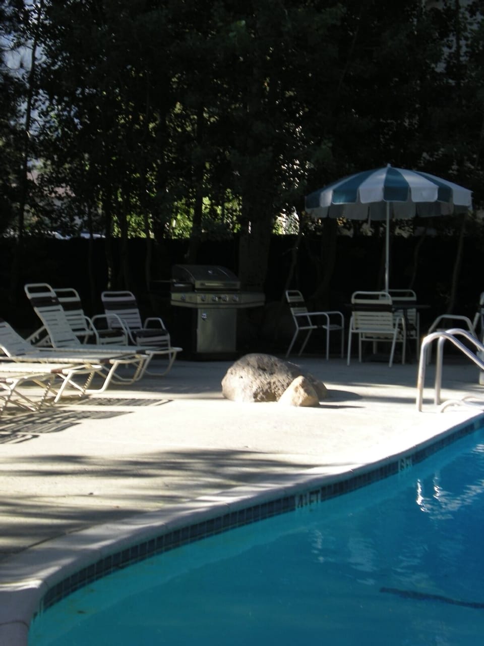 Hot tub, steam sauna and summer pool - out back