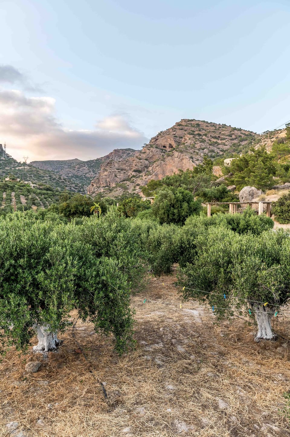 "Natura cottages at Makris Gialos"
Our back side mountain and "Pefki" gorge view