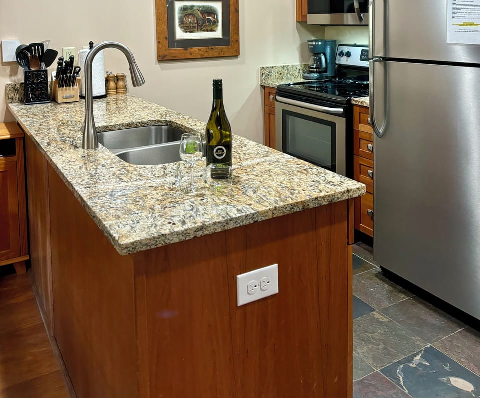 Granite counters, stainless steel appliances and items needed for meals.