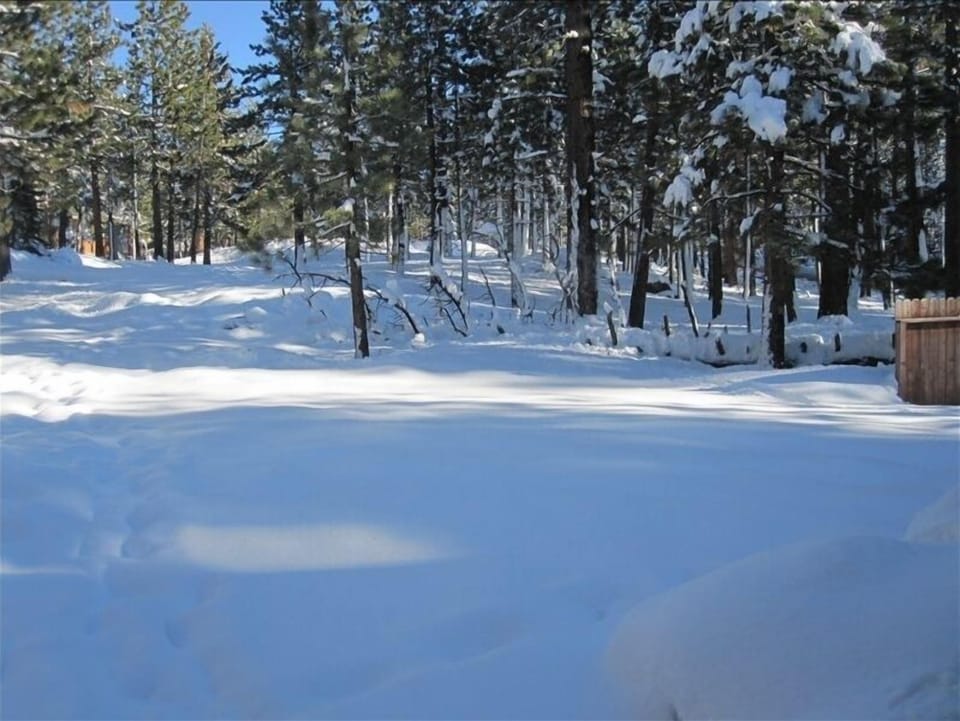 Forest service land behind the house provides extra privacy