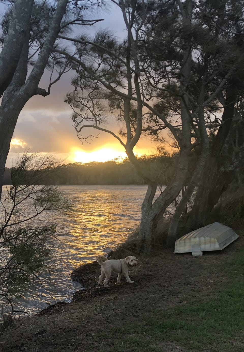 Lagoon Sunset