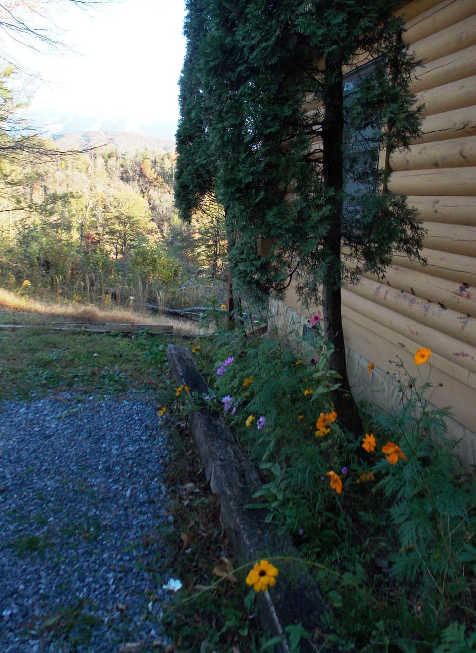 Spring Wildflowers Eagerly Await You.
