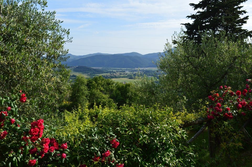 views from the pool terrace