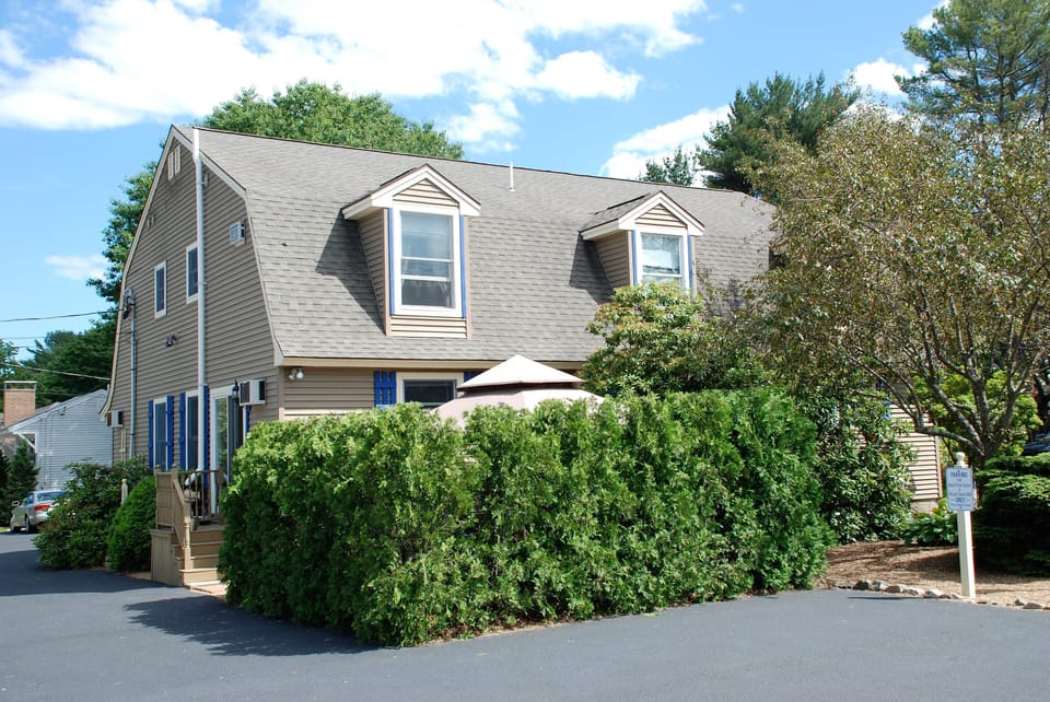 Rear entrance and garden area