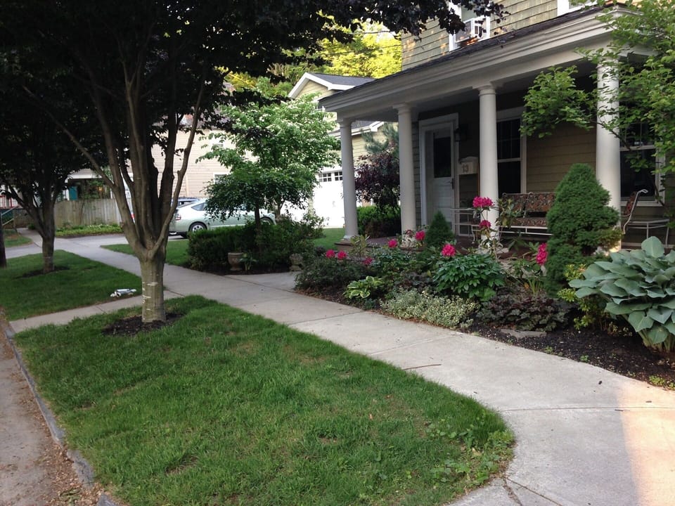 Pretty fauna surround our home on all sides