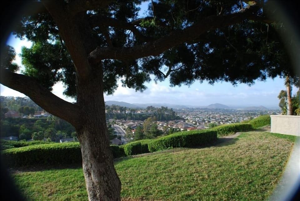 View from front entrance