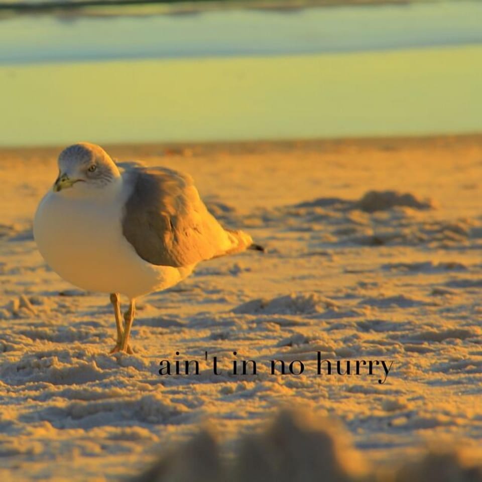 The locals ain't in no hurry