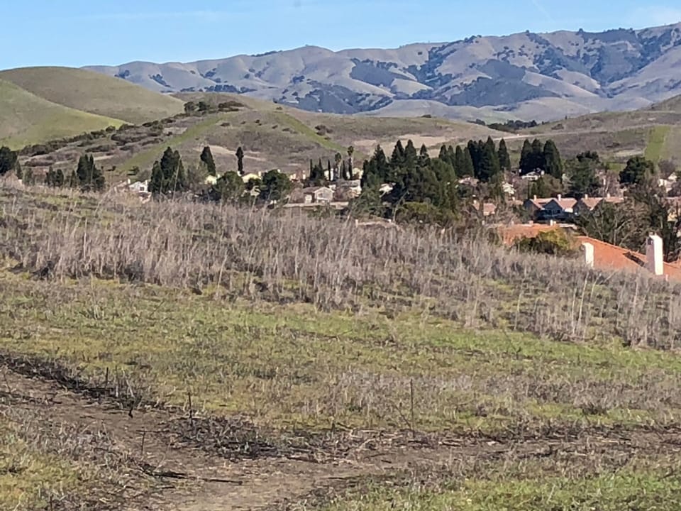 Hiking trails just steps from condo overlooking Diablo Mountain Range