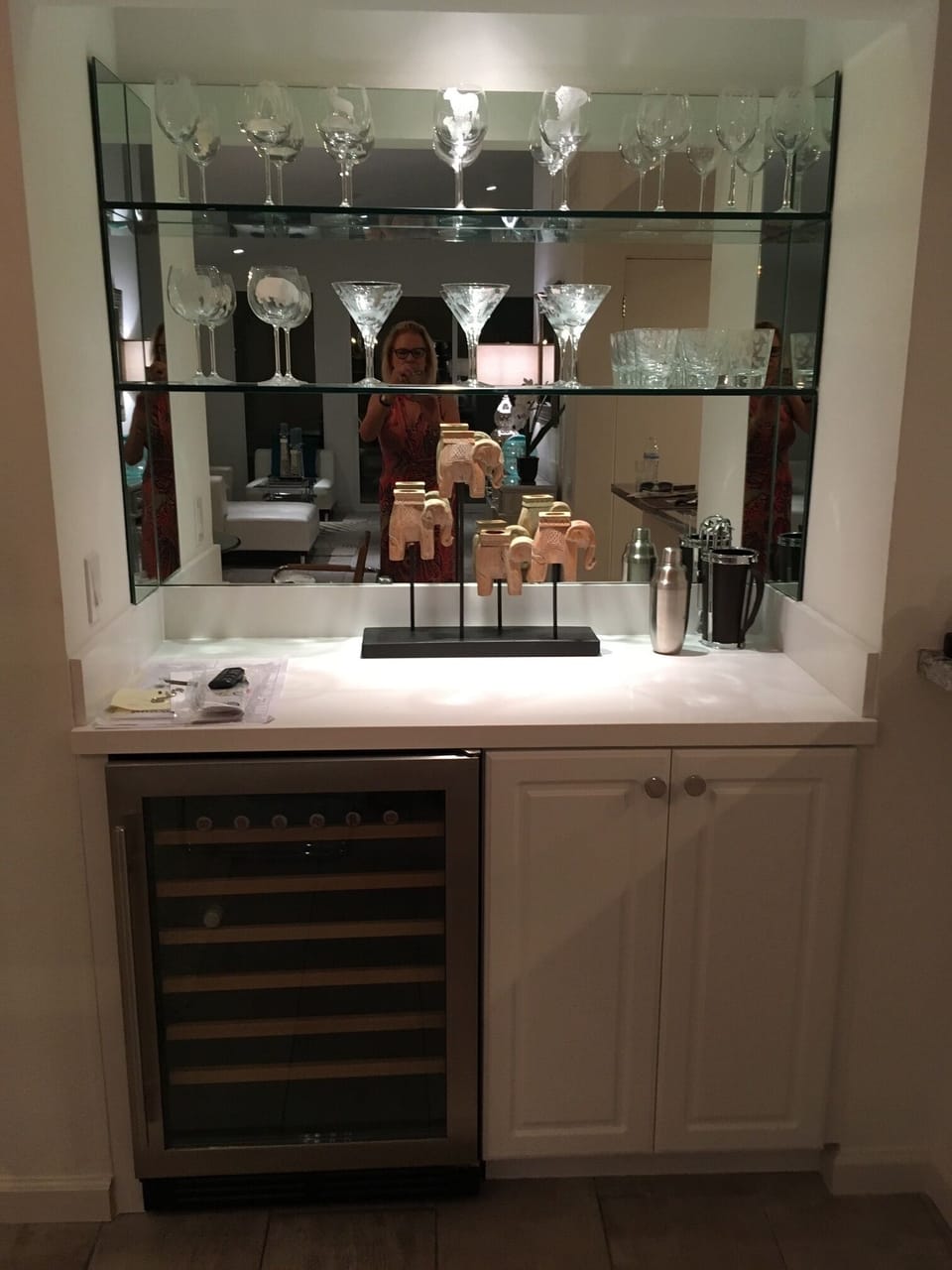 Wine Refrigerator and new bar