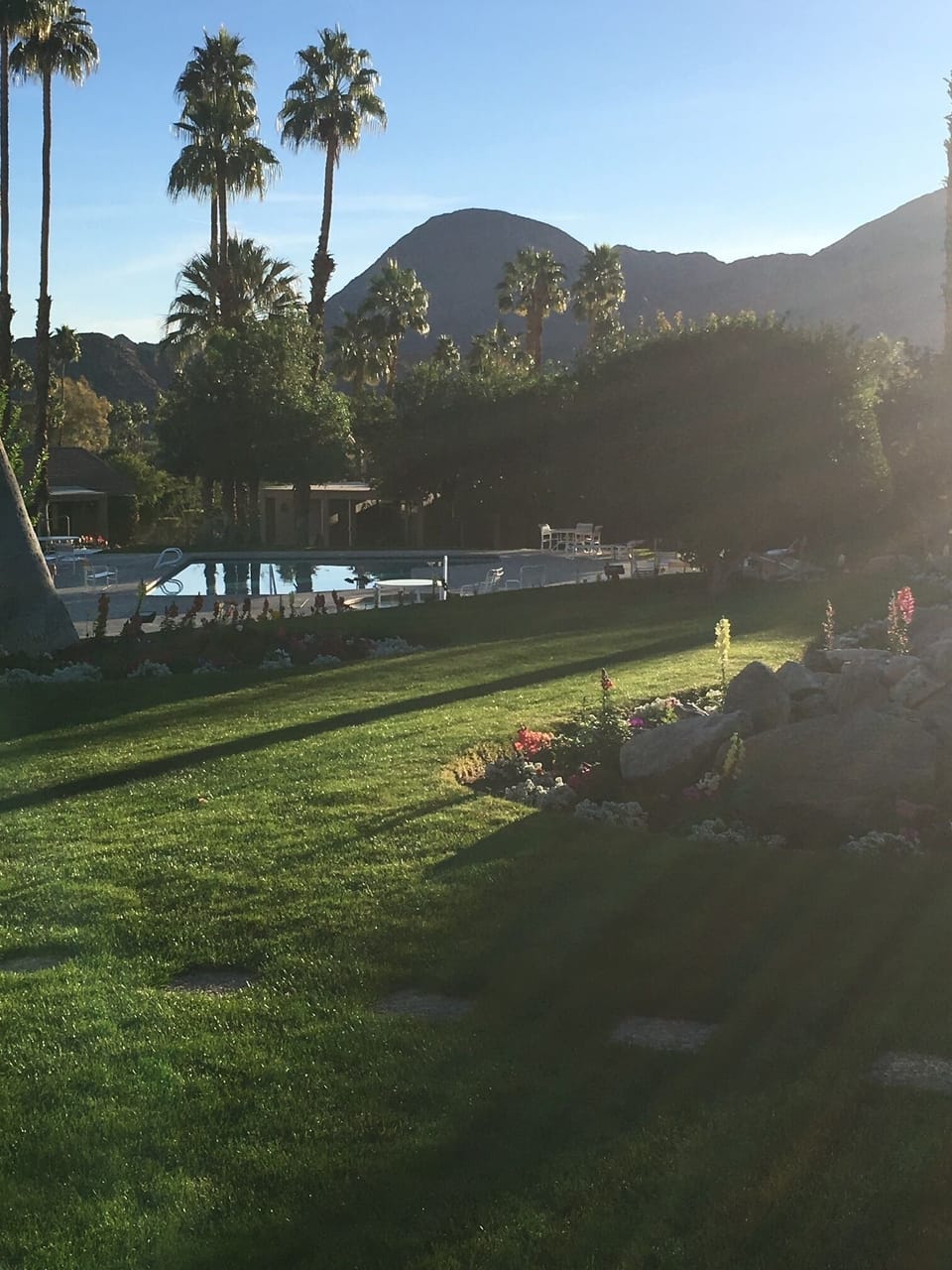 view from our patio