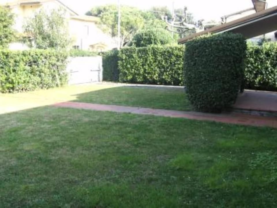 Garden, Park