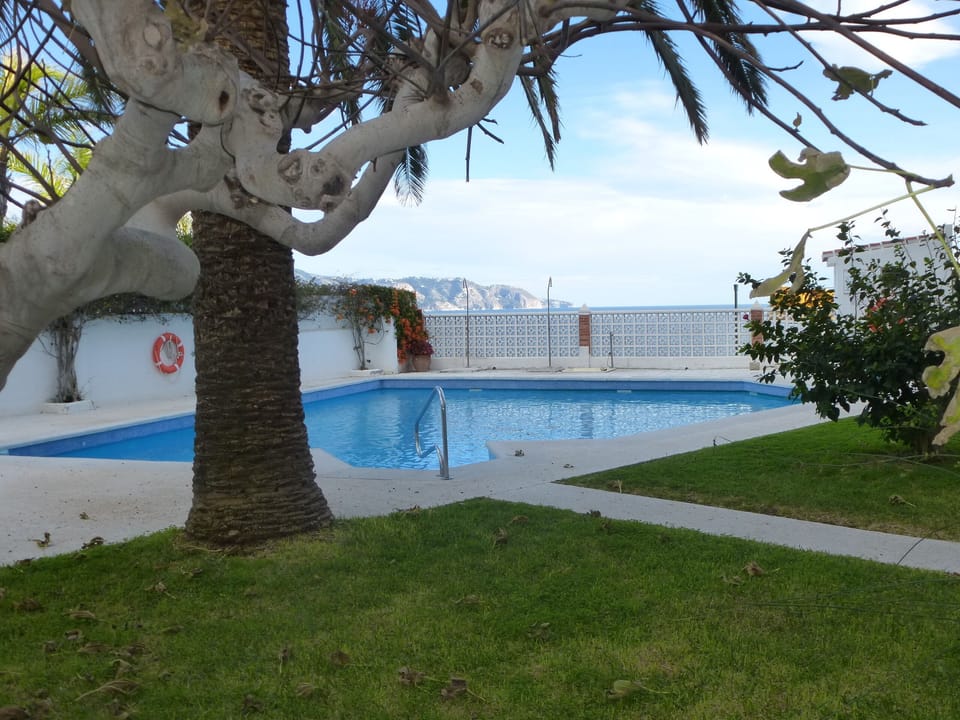 Swimming pool. Sunbeds in the apartment for your use.