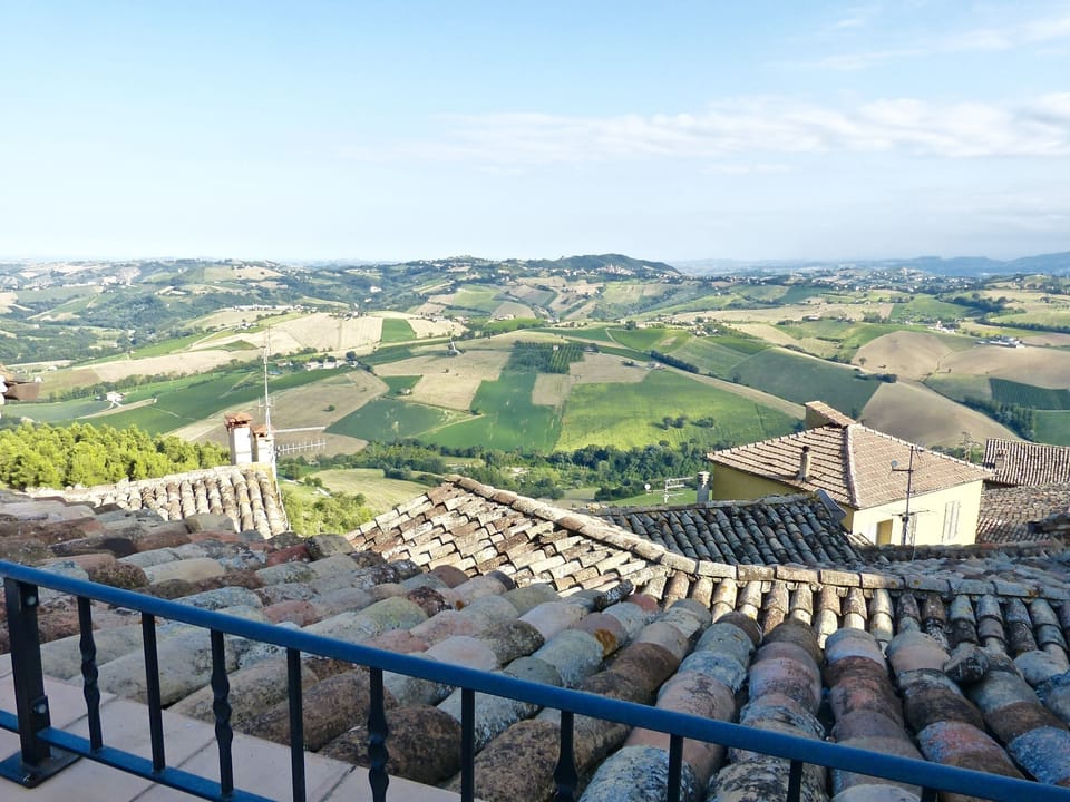 Views from the terrace