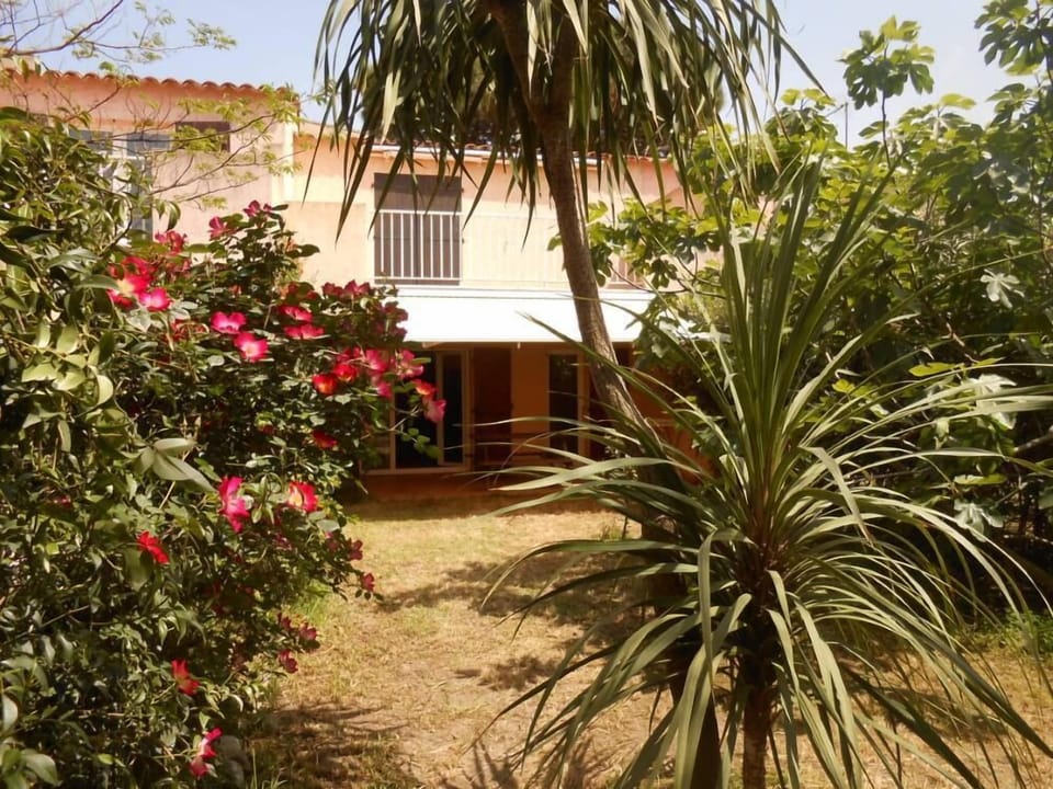 Garden, Park