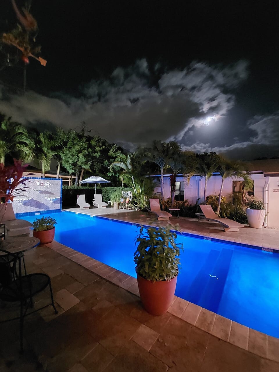Gorgeous night by the pool with friends