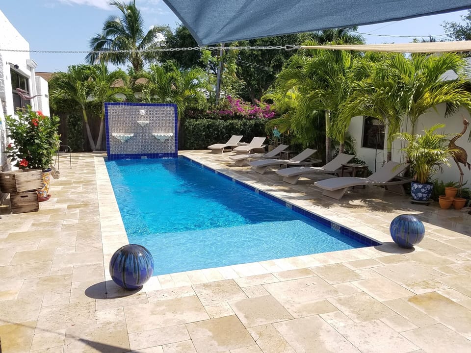 Pool surrounded by tropical landscape, serene and inviting