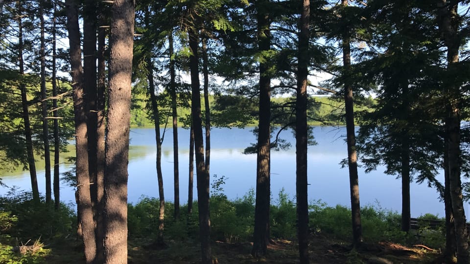 View from porch area