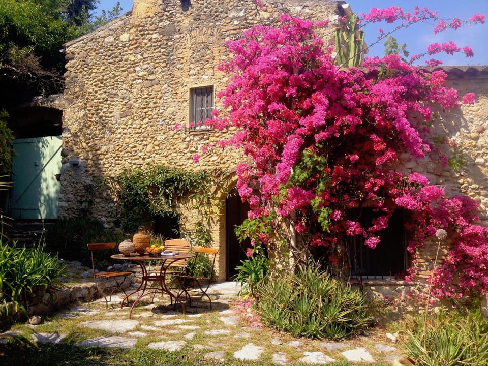 ORANGERAIE_GARDEN BOUGAINVILLEA2