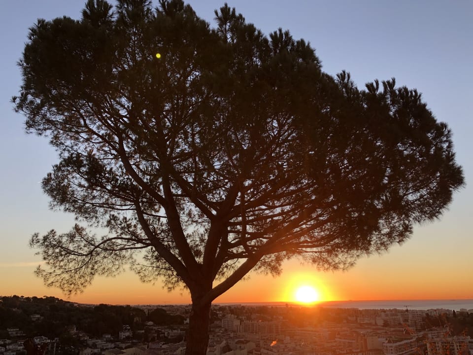 Sunset from the terrace - view on Nice city