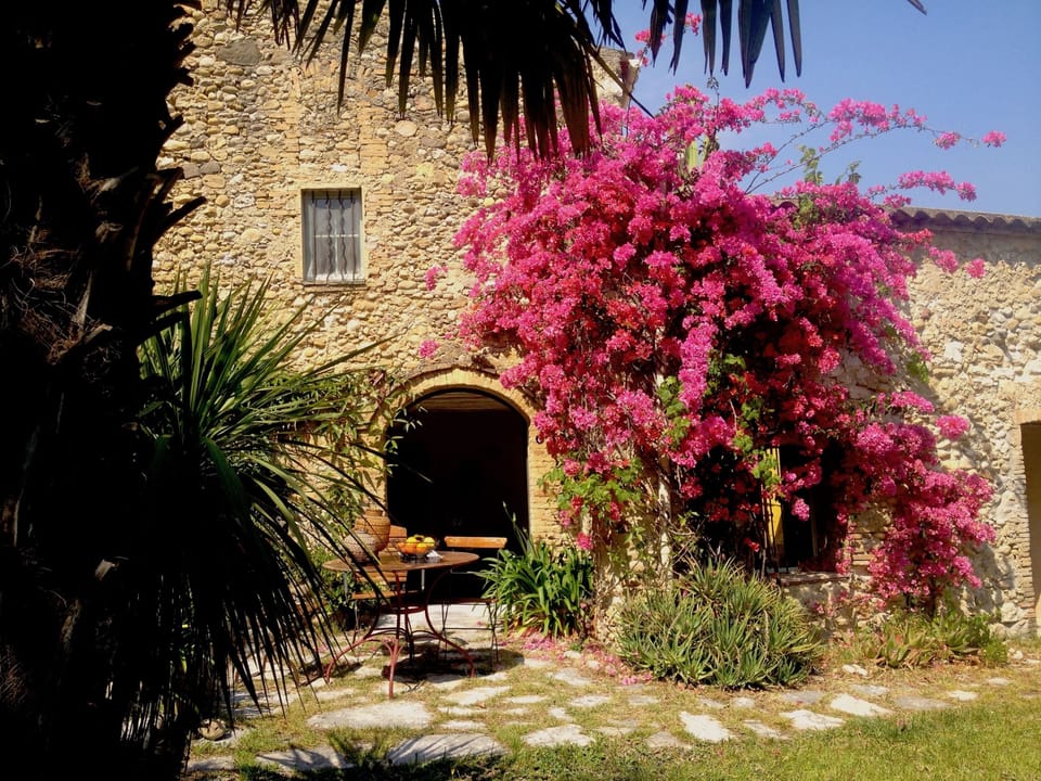 ORANGERAIE_GARDEN BOUGAINVILLEA1
