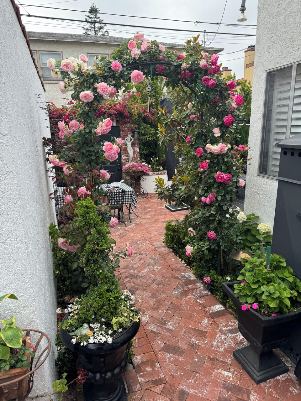 Rose Arbor in private rear yard
