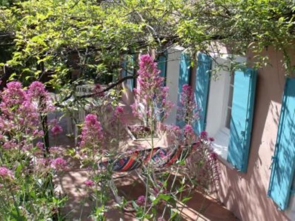 Garden, Park