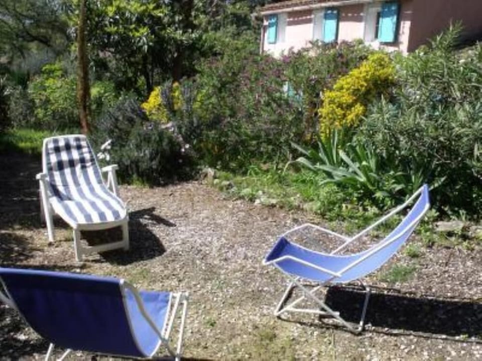 Garden, Park
