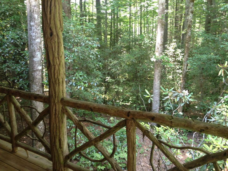 Looking out from the Front porch