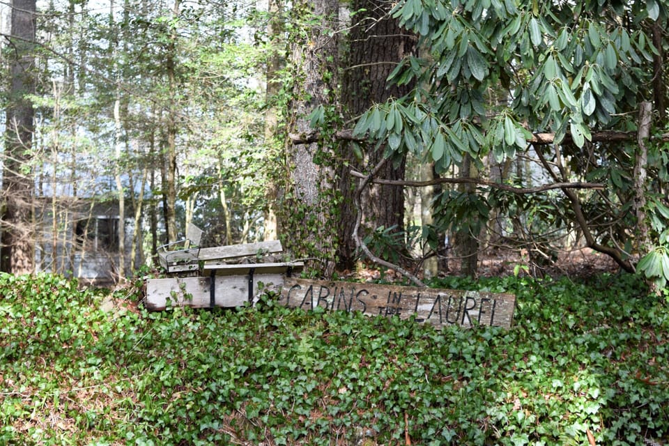 In front of the Cabin.