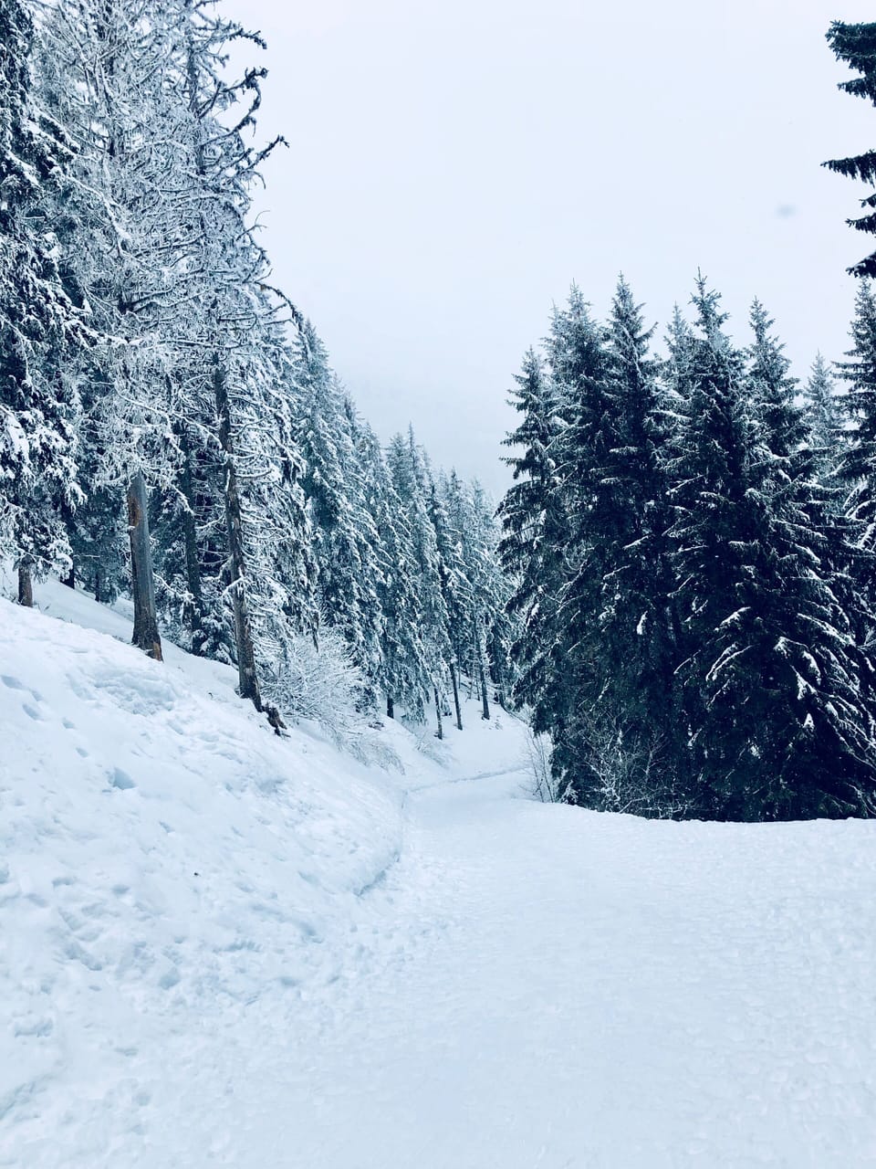 Snow and ski sports
