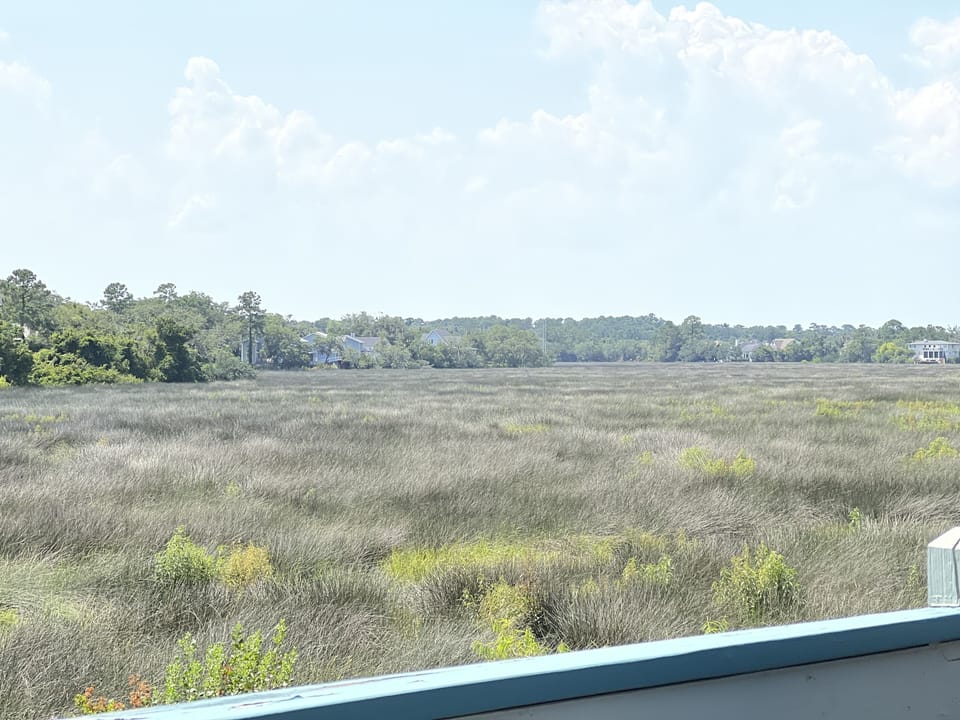 View from property