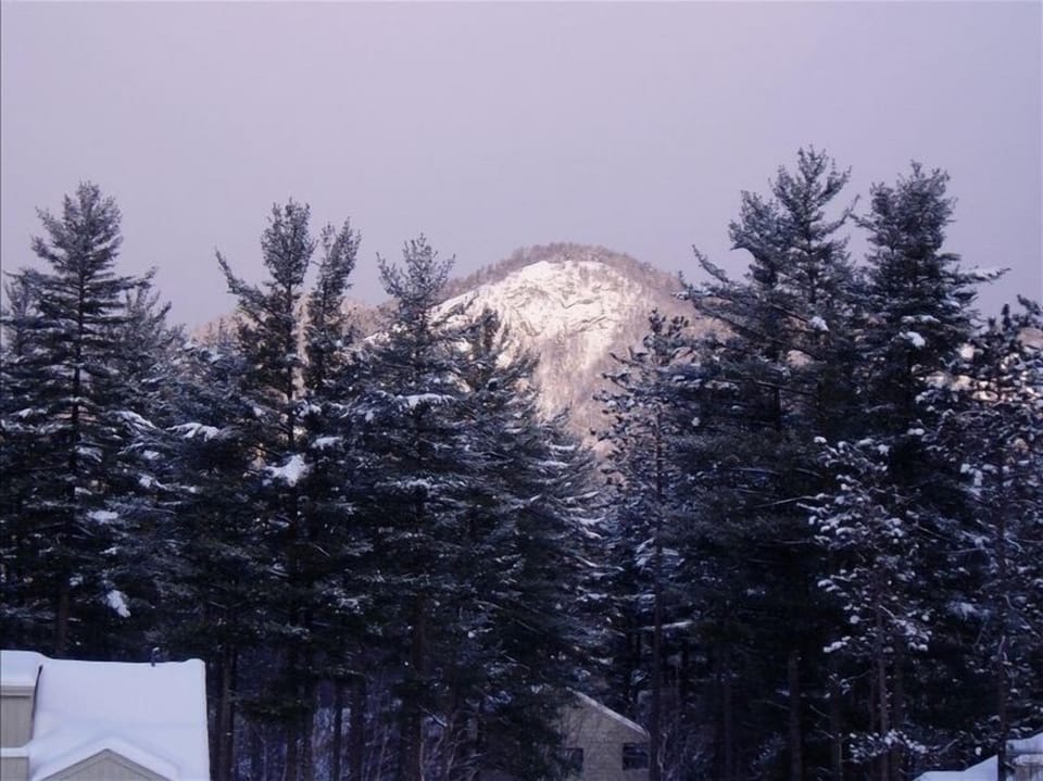 View of Mt Stanton from deck