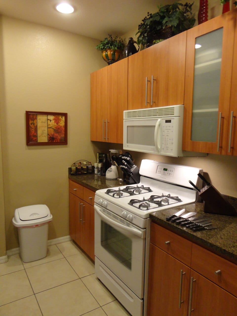 Kitchen, fully equipped including quality knife set