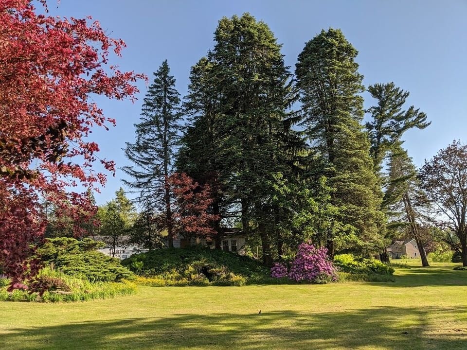 Grounds.