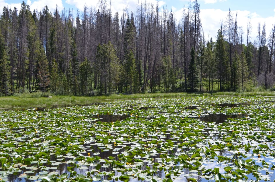 Hiking trails right out the front door to beautiful lakes