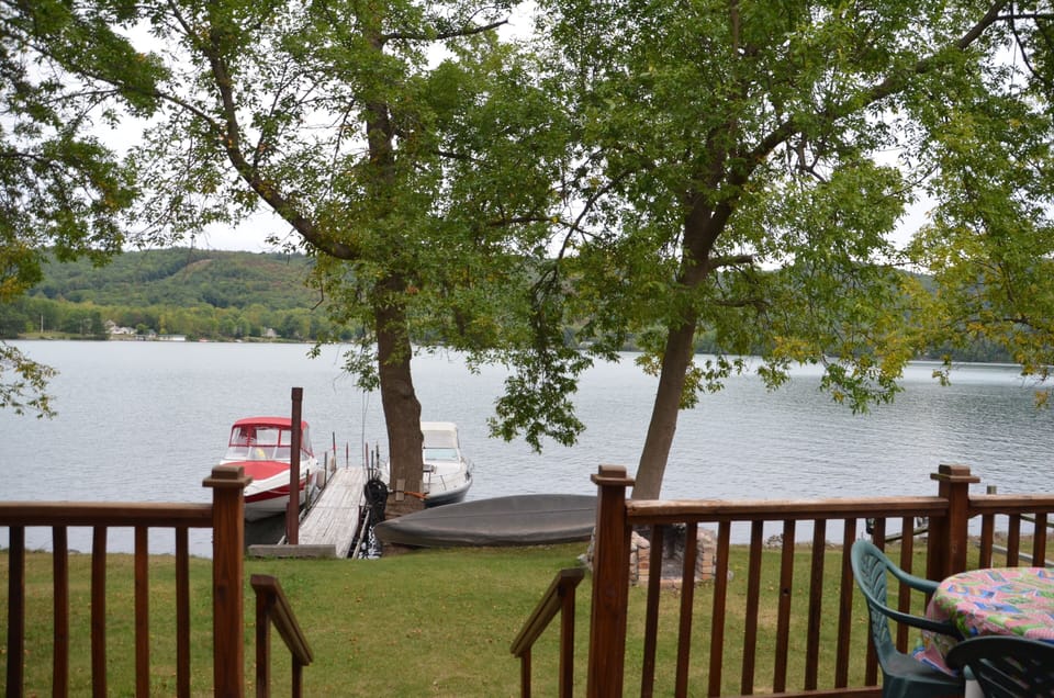 View from the Porch