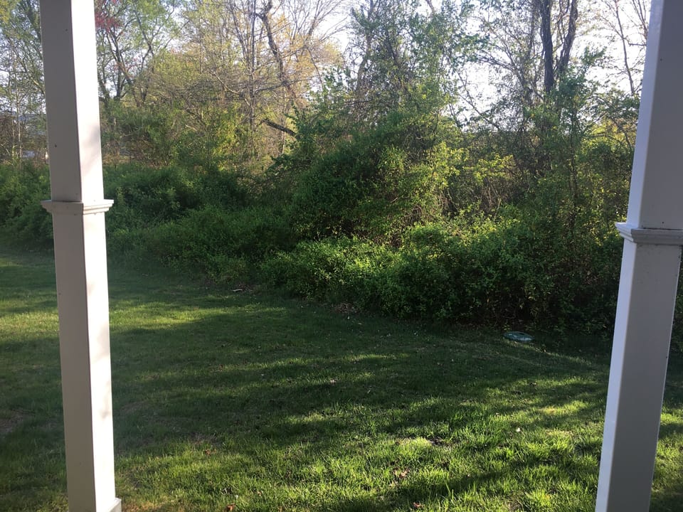 Backyard space