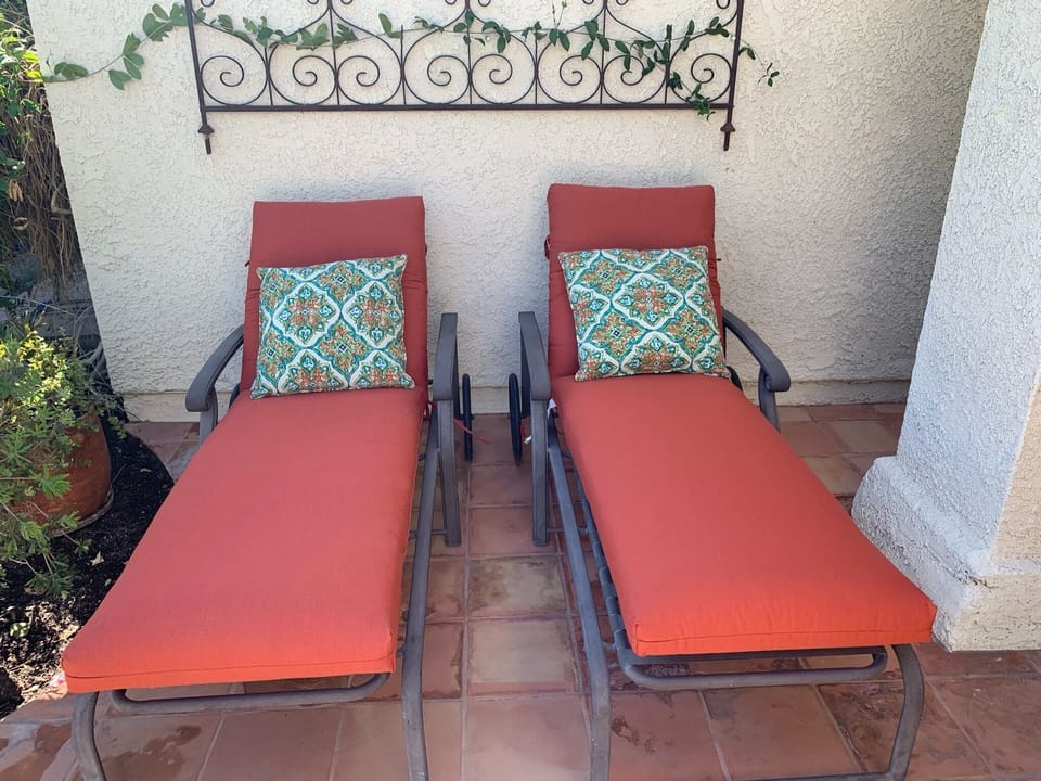 Back patio Loungers