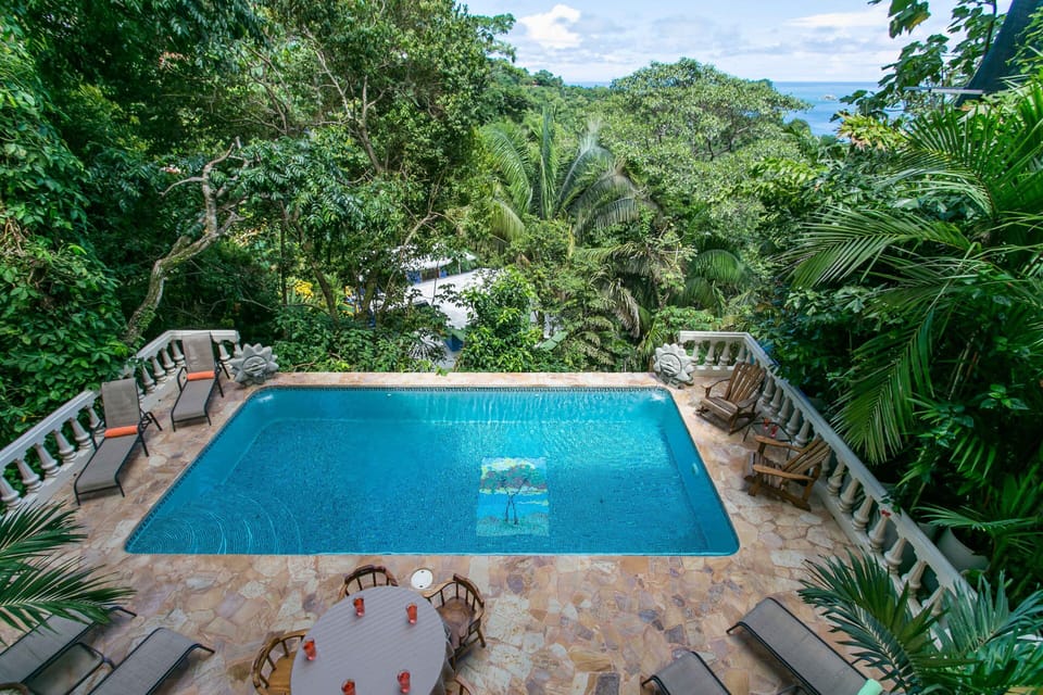 Pool & rainforest