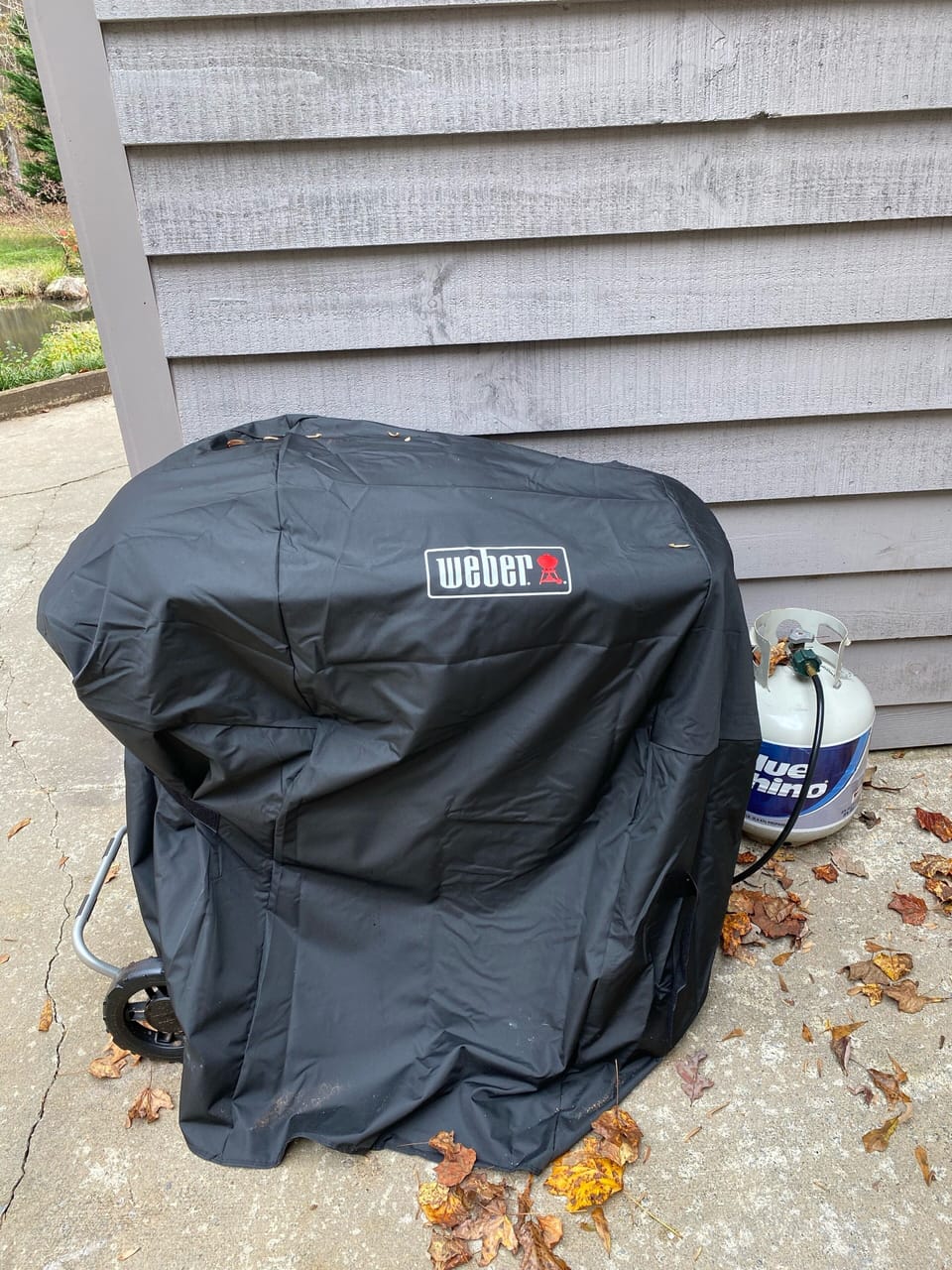 Weber Traveler Grill.