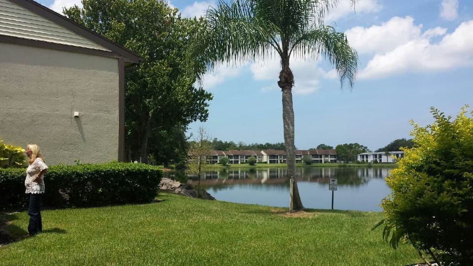 Sunshine, palm trees, and water!