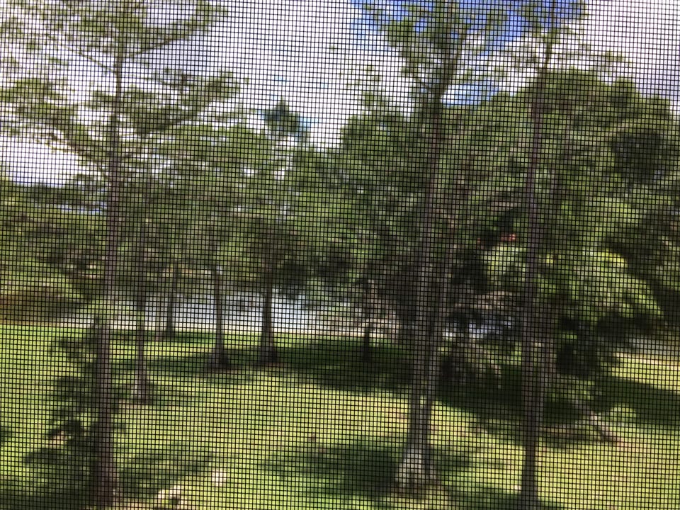 Outside Lanai View