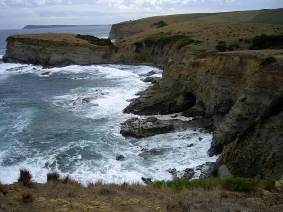 Basscoast walk