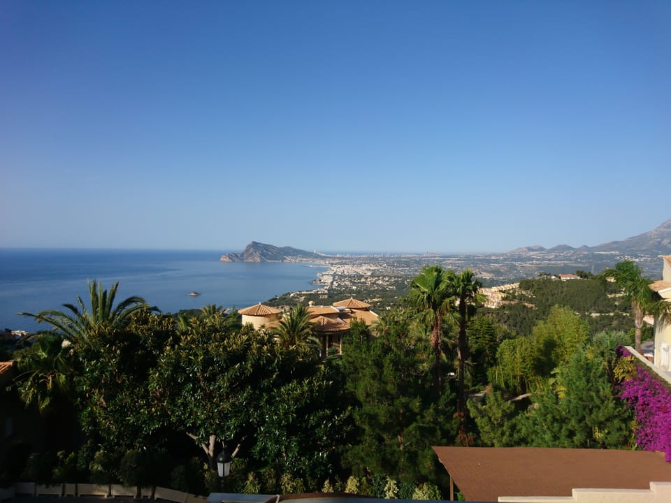 View from the pool