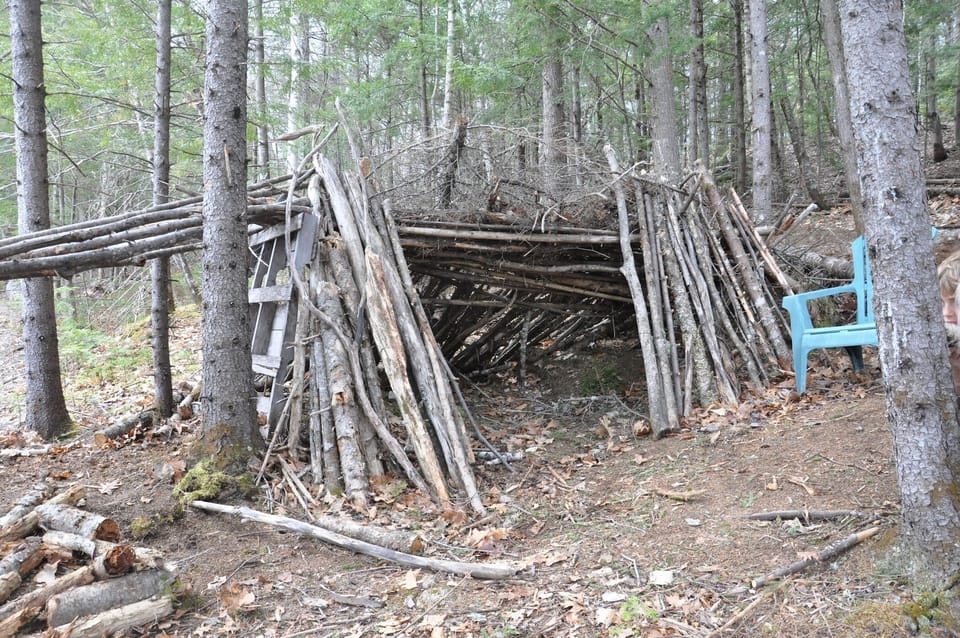 Woodland Fort